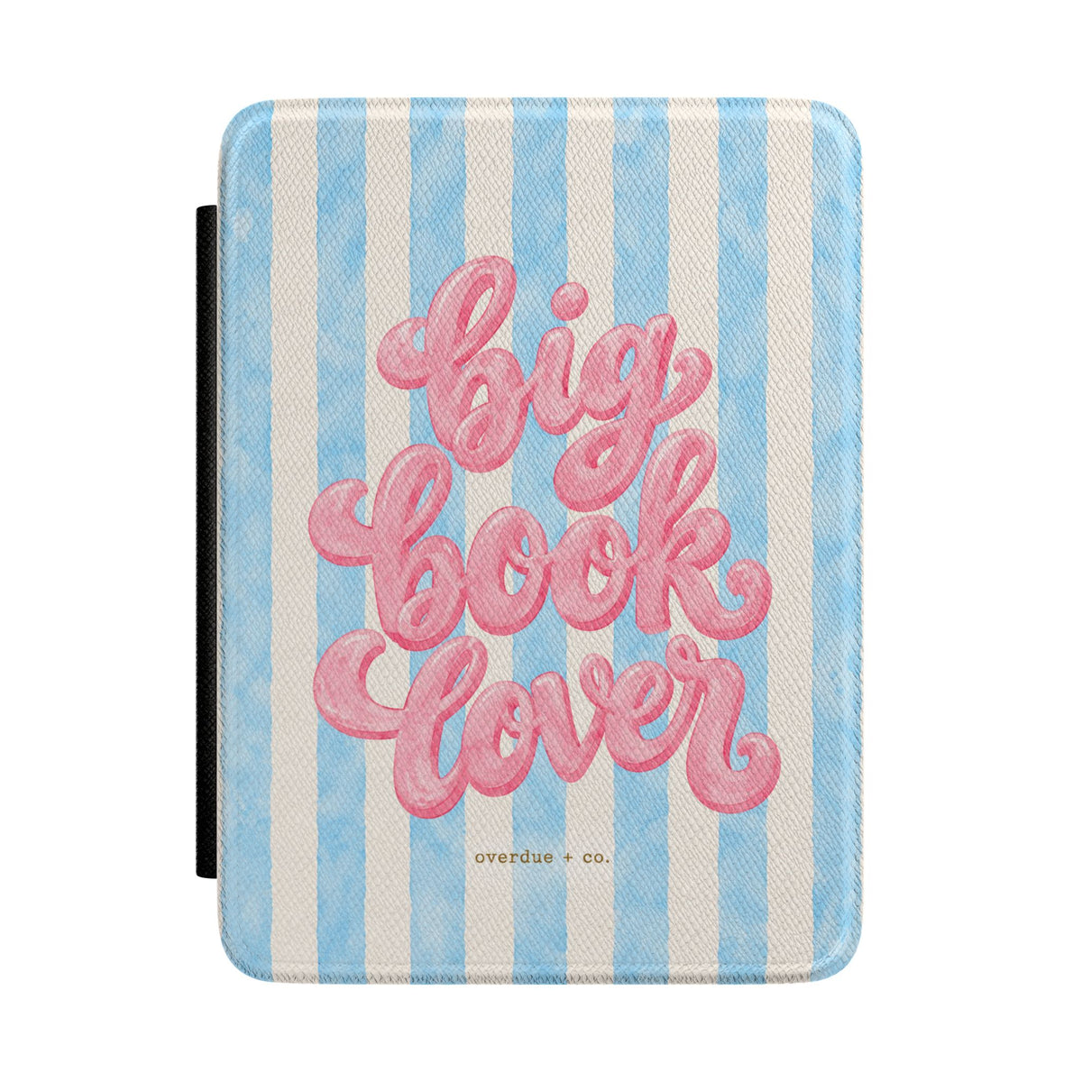 Kindle Case — "Big Book Lover" Pink Script on Blue Stripe eReader Cover